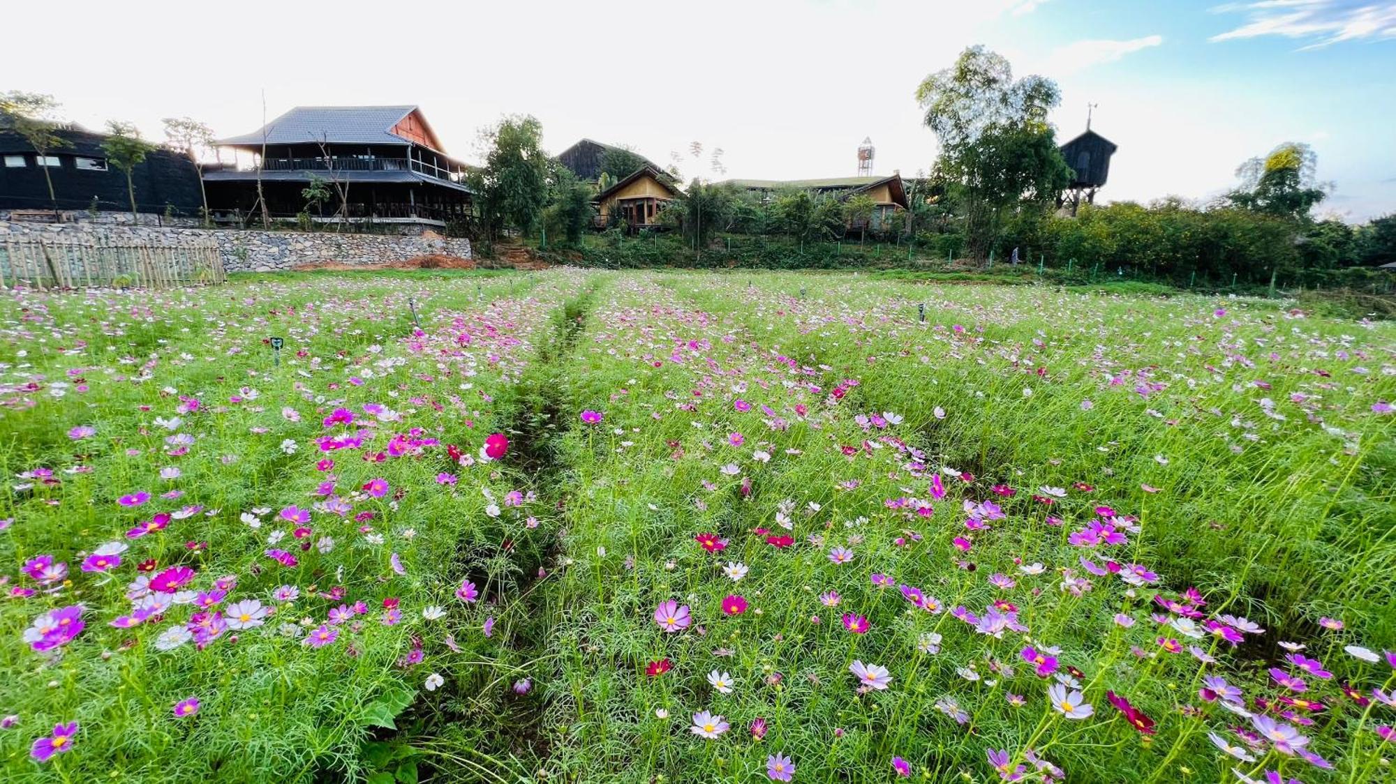 Satoyama Village Luong Son  Zewnętrze zdjęcie